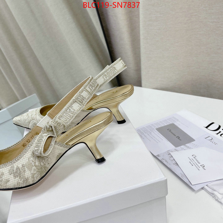 Women Shoes-Dior,replicas , ID: SN7837,$: 119USD