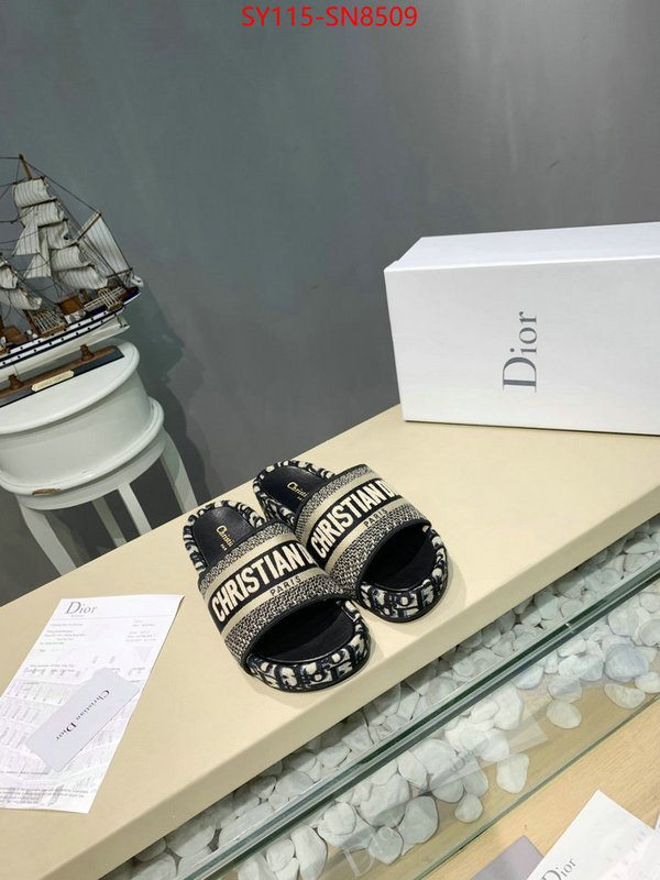 Women Shoes-Dior,sell online , ID: SN8509,$: 115USD