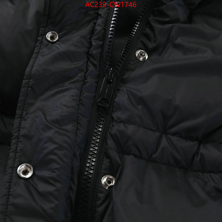 Down jacket Women-Burberry,where to buy , ID: CW1746,$: 239USD