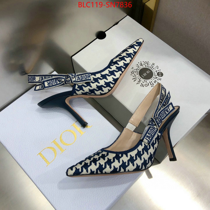 Women Shoes-Dior,what's the best to buy replica , ID: SN7836,$: 119USD