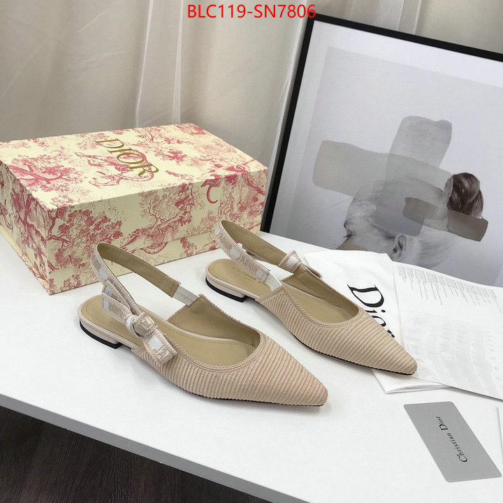 Women Shoes-Dior,how to find replica shop , ID: SN7806,$: 119USD