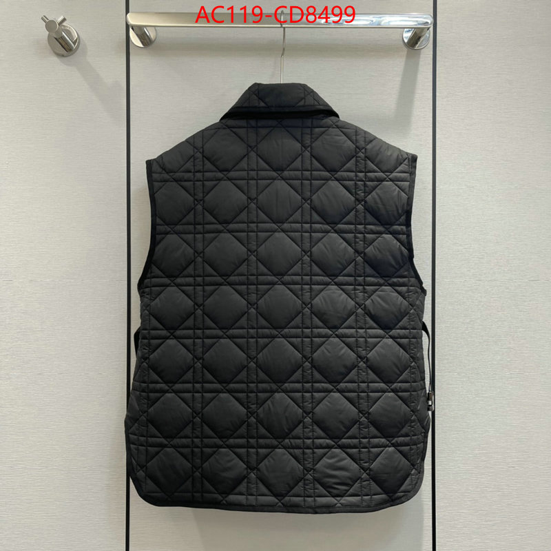 Down jacket Women-Dior,china sale , ID: CD8499,$: 119USD