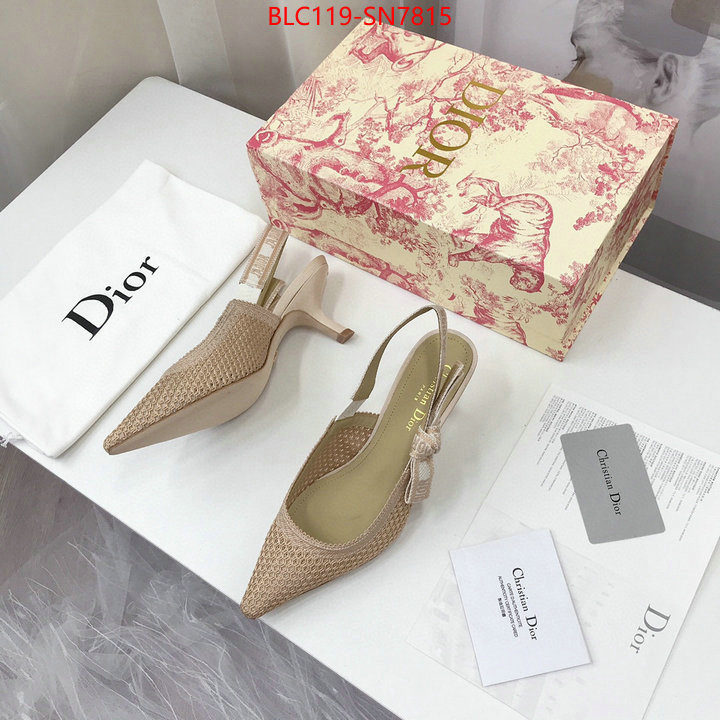 Women Shoes-Dior,shop cheap high quality 1:1 replica , ID: SN7815,$: 119USD