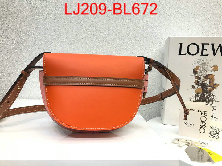 Loewe Bags(TOP)-Diagonal-,the best ,ID: BL672,$:209USD