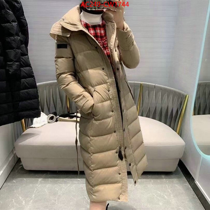 Down jacket Women-Burberry,brand designer replica , ID: CW1744,$: 249USD