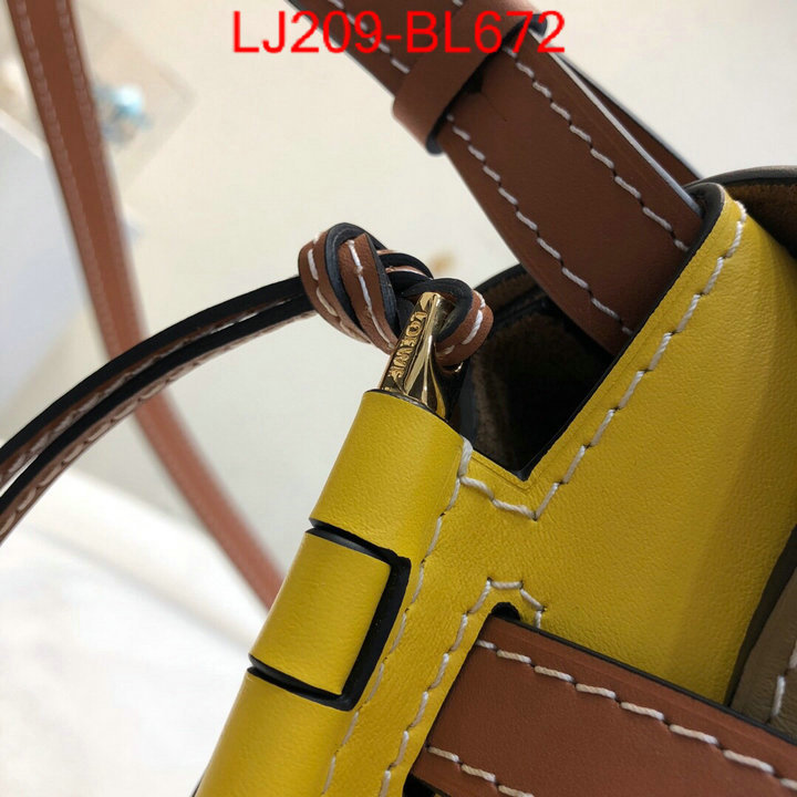 Loewe Bags(TOP)-Diagonal-,the best ,ID: BL672,$:209USD