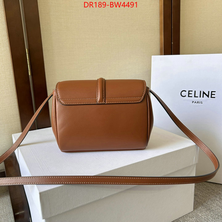 CELINE Bags(TOP)-Diagonal,2023 replica wholesale cheap sales online ,ID: BW4491,$: 189USD