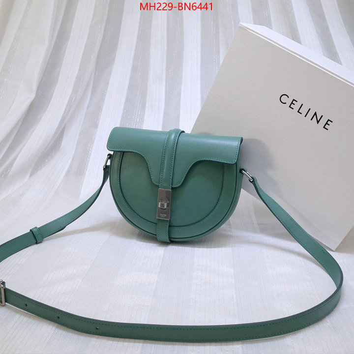 CELINE Bags(TOP)-Diagonal,aaaaa class replica ,ID: BN6441,$: 229USD