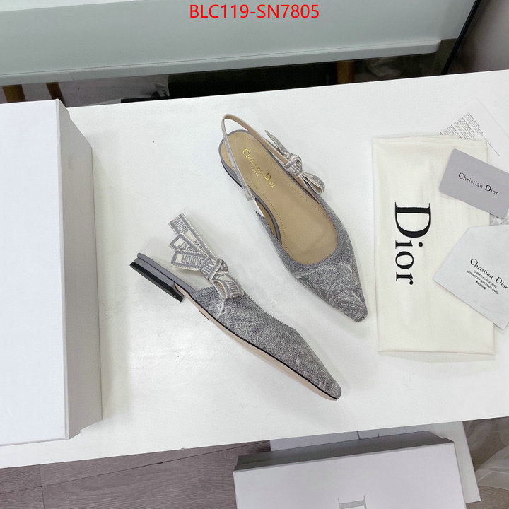 Women Shoes-Dior,the top ultimate knockoff , ID: SN7805,$: 119USD