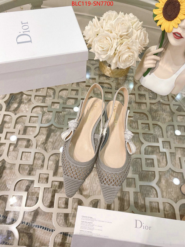 Women Shoes-Dior,sell online luxury designer , ID: SN7700,$: 119USD