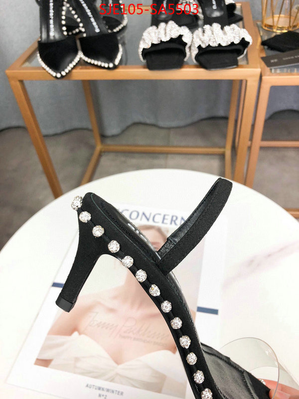 Women Shoes-Alexander Wang,replica designer , ID: SA5503,$: 105USD