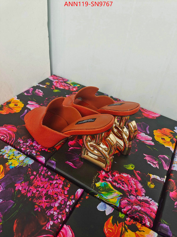 Women Shoes-DG,what's the best to buy replica , ID: SN9767,$: 119USD