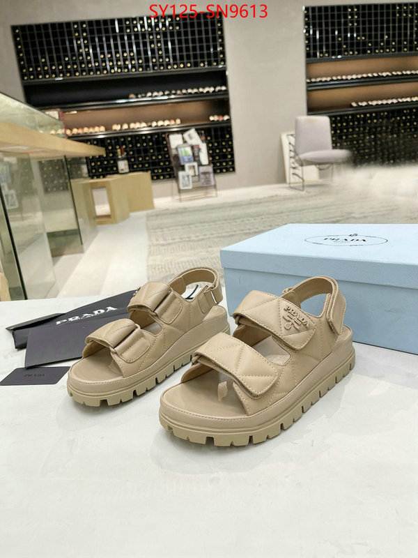 Women Shoes-Prada,top quality , ID: SN9613,$: 125USD