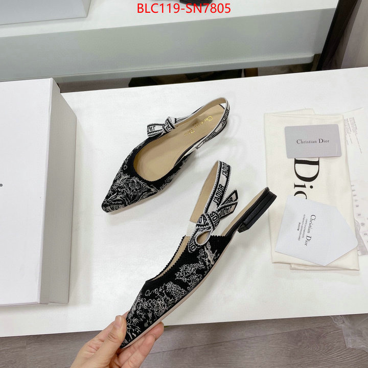 Women Shoes-Dior,the top ultimate knockoff , ID: SN7805,$: 119USD