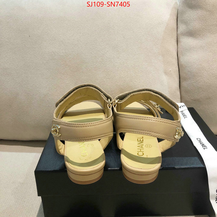 Women Shoes-Chanel,fake cheap best online , ID: SN7405,$: 109USD