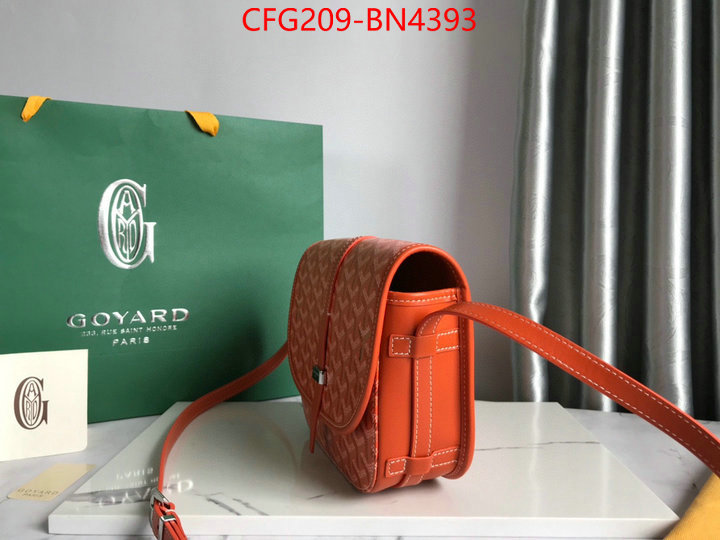 Goyard Bags(TOP)-Diagonal-,ID: BN4393,$: 209USD