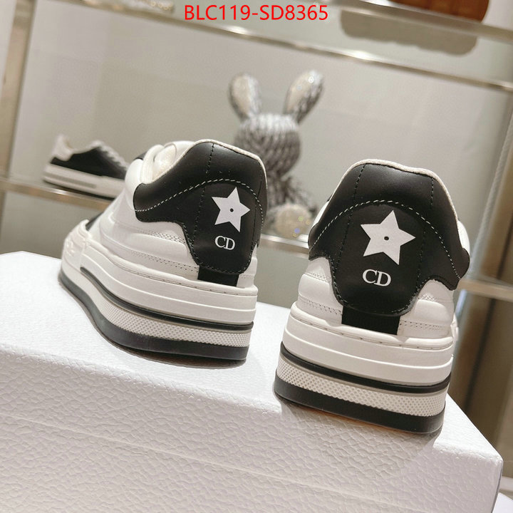 Women Shoes-Dior,buy high quality fake , ID: SD8365,$: 119USD