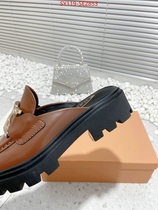 Women Shoes-Tods,top fake designer ,high quality replica designer , ID: SE2853,$: 119USD