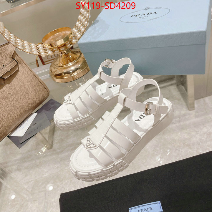 Women Shoes-Prada,fashion designer , ID: SD4209,$: 119USD
