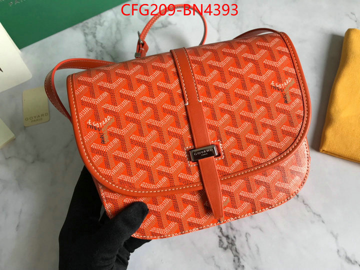 Goyard Bags(TOP)-Diagonal-,ID: BN4393,$: 209USD