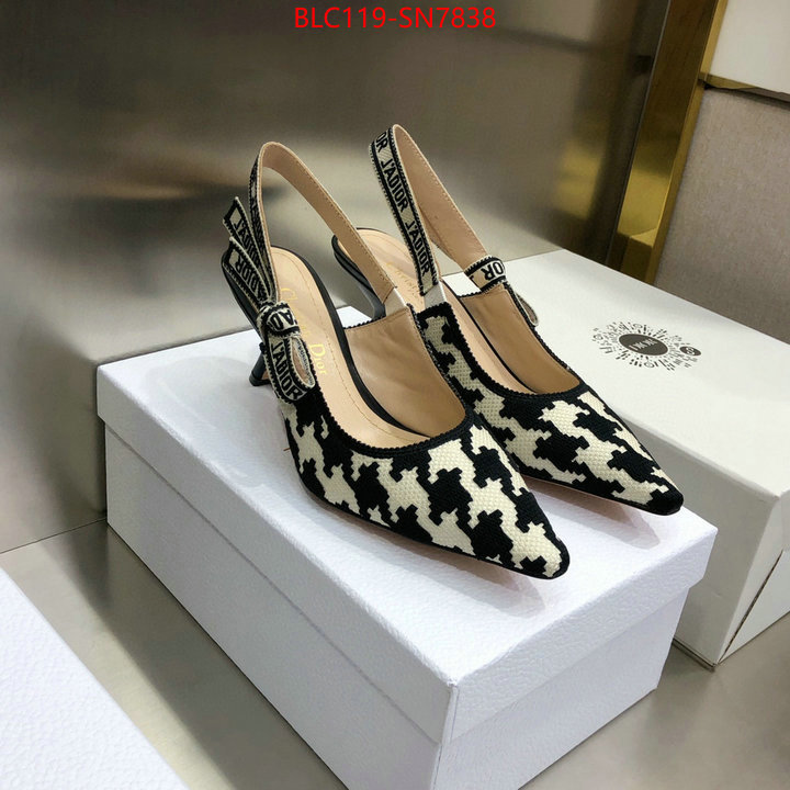 Women Shoes-Dior,can i buy replica , ID: SN7838,$: 119USD