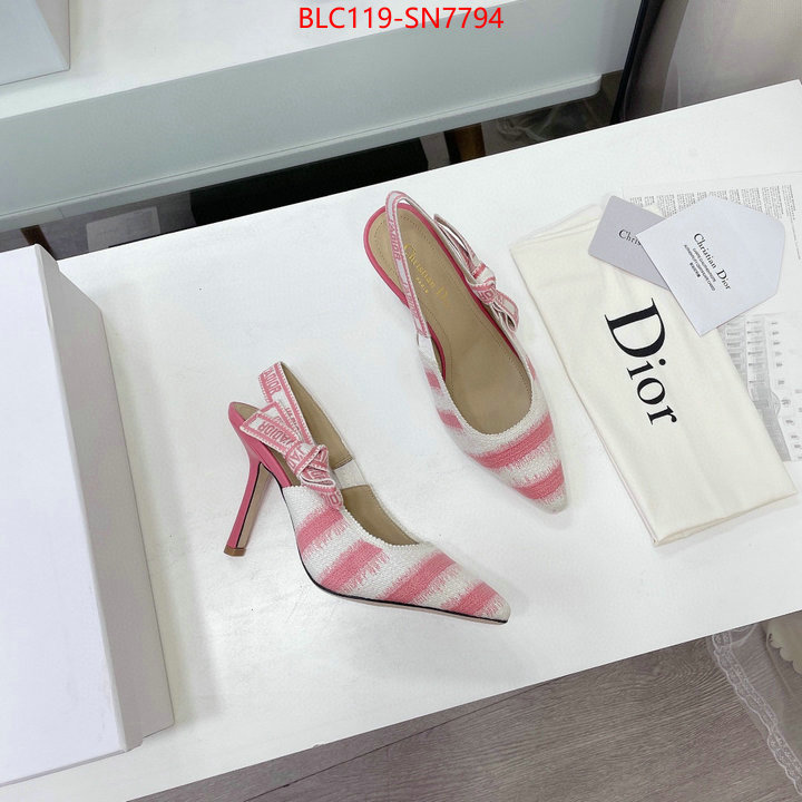 Women Shoes-Dior,online store , ID: SN7794,$: 119USD