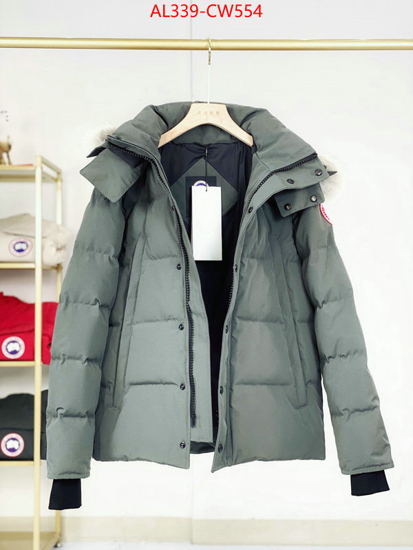 Down jacket Women-Canada Goose,best designer replica , ID: CW554,$: 339USD