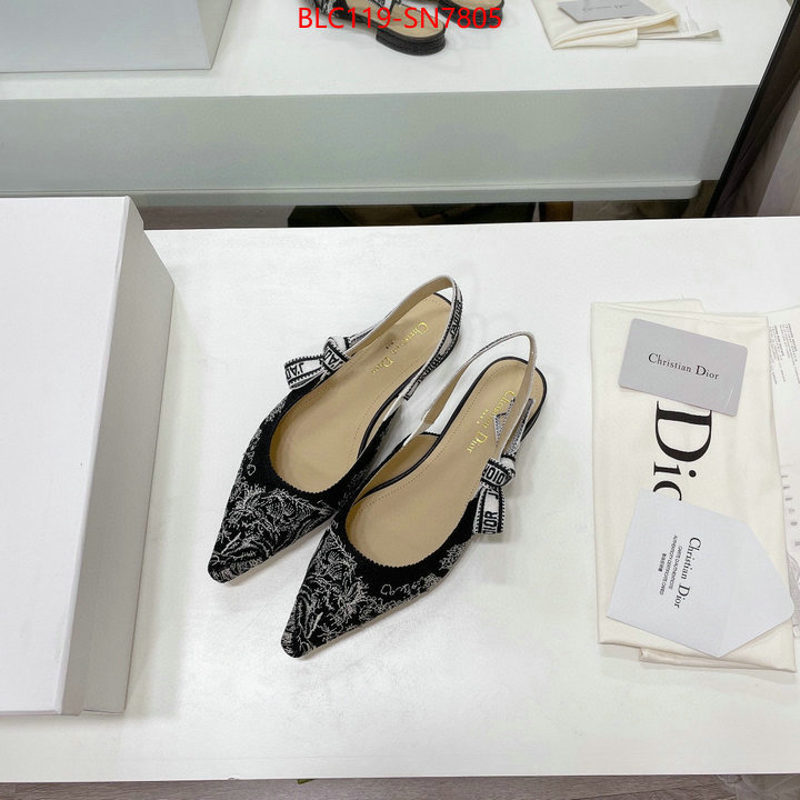 Women Shoes-Dior,the top ultimate knockoff , ID: SN7805,$: 119USD