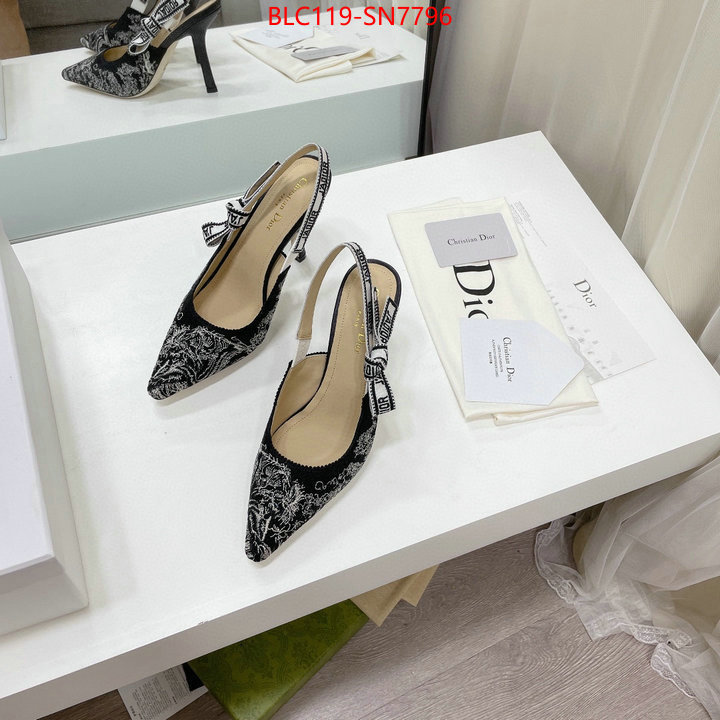 Women Shoes-Dior,how to find replica shop , ID: SN7796,$: 119USD