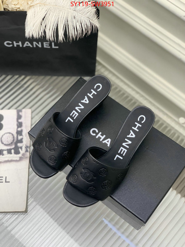 Women Shoes-Chanel,best site for replica , ID: SW3951,$: 119USD