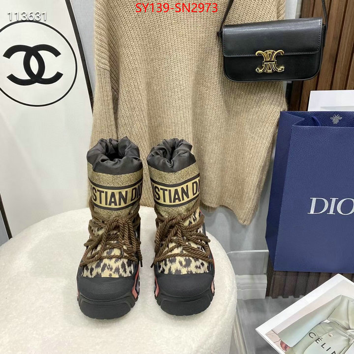 Women Shoes-Dior,wholesale sale , ID: SN2973,$: 139USD