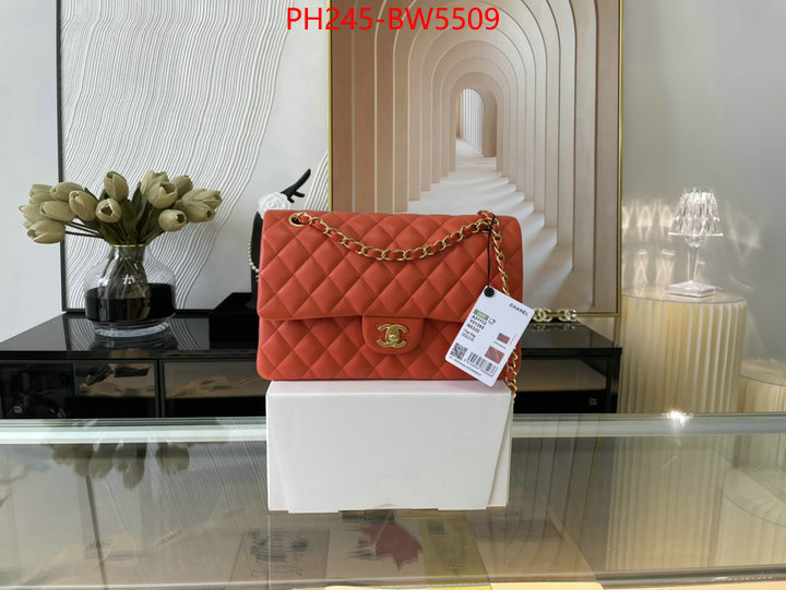 Chanel Bags(TOP)-Diagonal-,ID: BW5509,$: 245USD