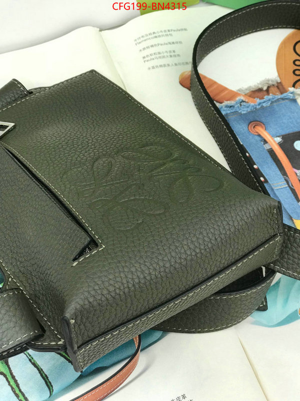 Loewe Bags(TOP)-Diagonal-,cheap replica designer ,ID: BN4315,$: 199USD