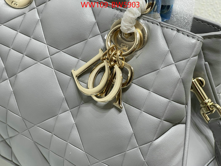 Dior Bags(4A)-Other Style-,ID: BW5903,$: 109USD