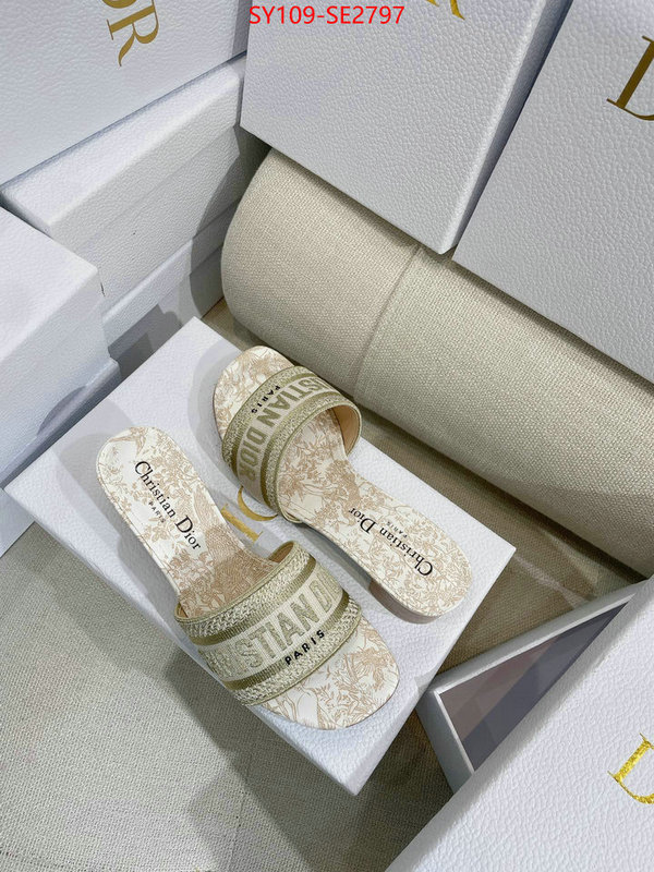 Women Shoes-Dior,shop the best high authentic quality replica , ID: SE2797,$: 109USD