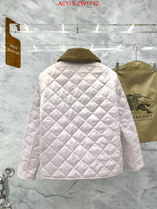 Down jacket Women-Burberry,what's the best to buy replica , ID: CW1732,$: 119USD