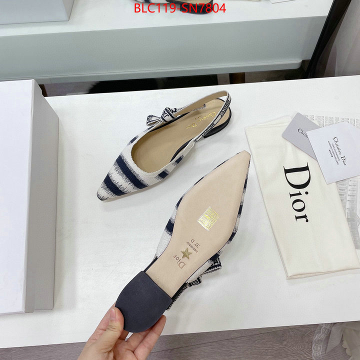 Women Shoes-Dior,wholesale designer shop , ID: SN7804,$: 119USD