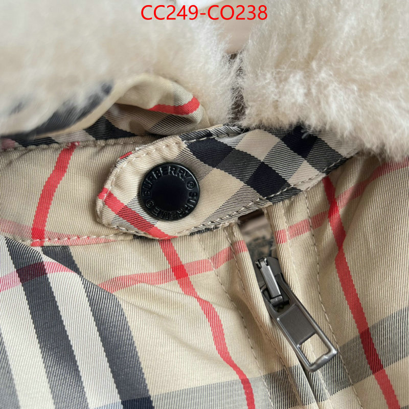 Down jacket Men-Burberry,best wholesale replica , ID: CO238,$: 249USD