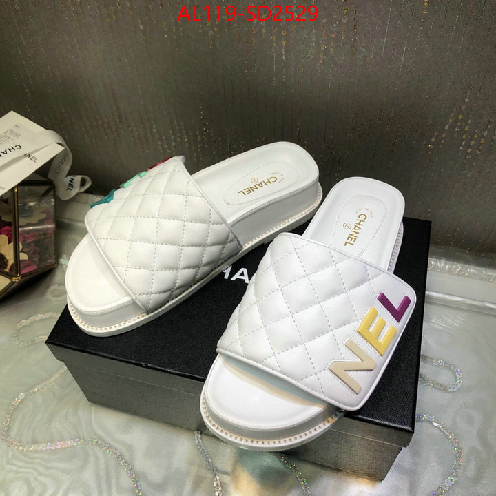 Women Shoes-Chanel,replicas , ID: SD2529,$: 119USD