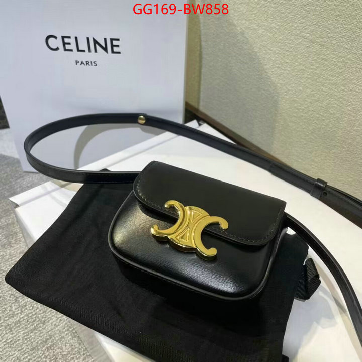 CELINE Bags(TOP)-Triomphe Series,what best designer replicas ,ID: BW858,$: 169USD