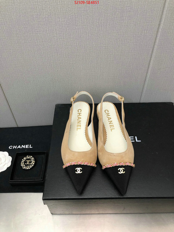 Women Shoes-Chanel,can you buy knockoff , ID: SE4851,$: 109USD