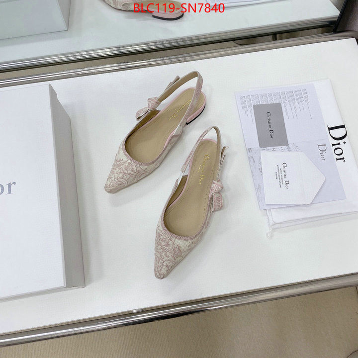 Women Shoes-Dior,replica designer , ID: SN7840,$: 119USD