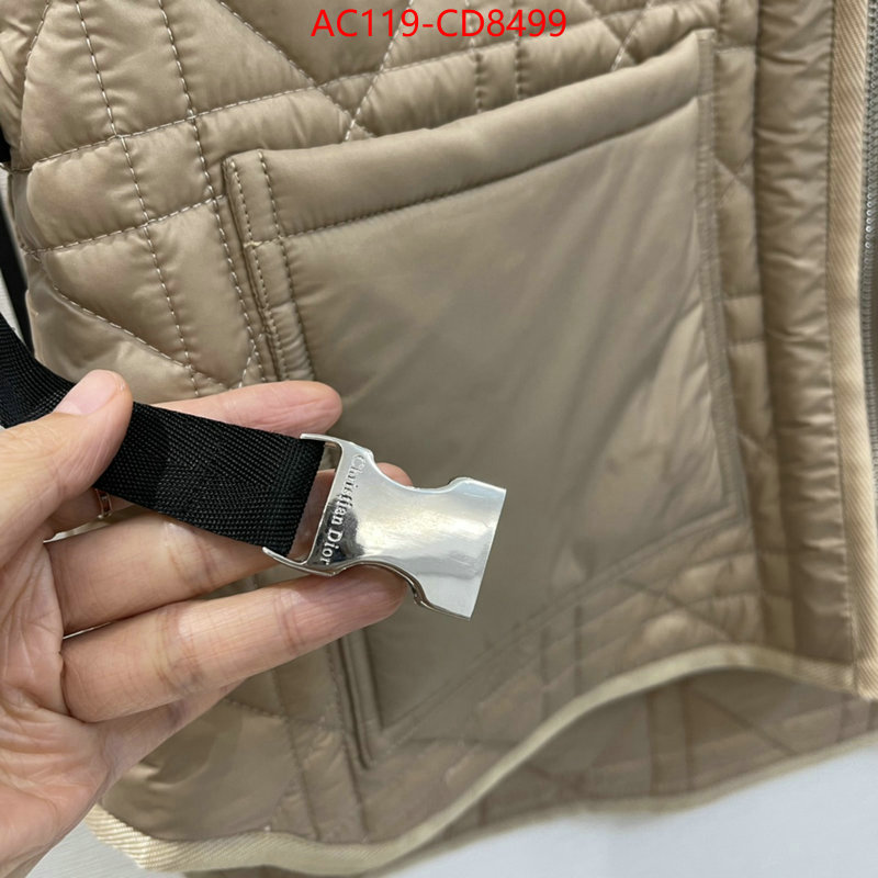 Down jacket Women-Dior,china sale , ID: CD8499,$: 119USD