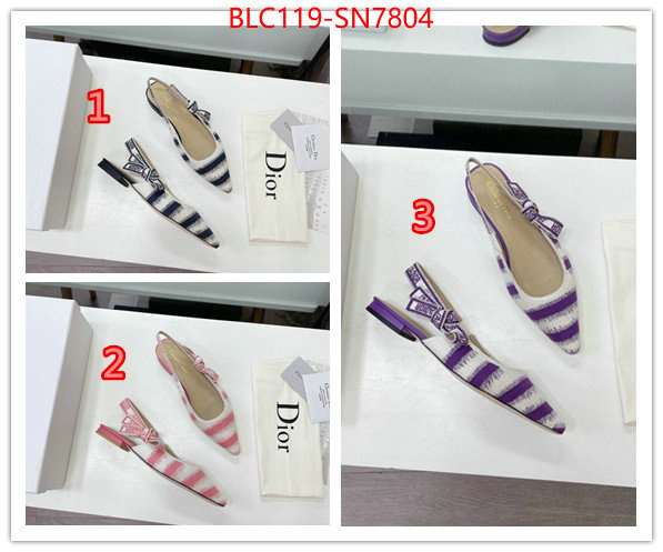 Women Shoes-Dior,wholesale designer shop , ID: SN7804,$: 119USD