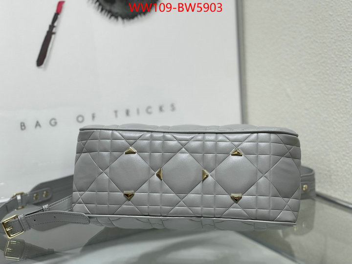 Dior Bags(4A)-Other Style-,ID: BW5903,$: 109USD