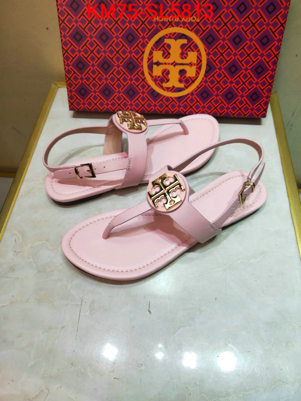 Women Shoes-Tory Burch,aaaaa+ replica , ID: SL5813,$: 75USD