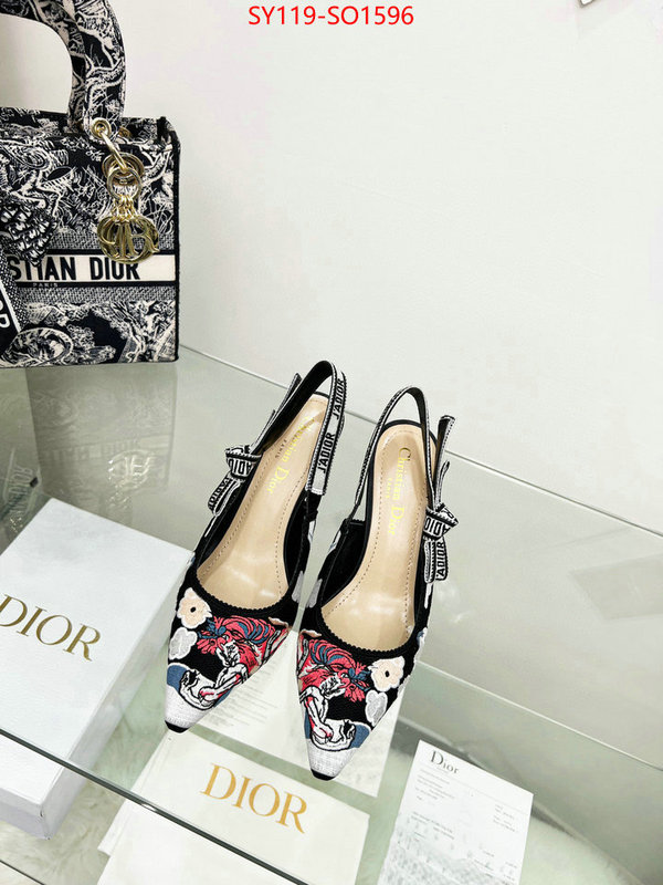 Women Shoes-Dior,high quality online , ID: SO1596,$: 119USD