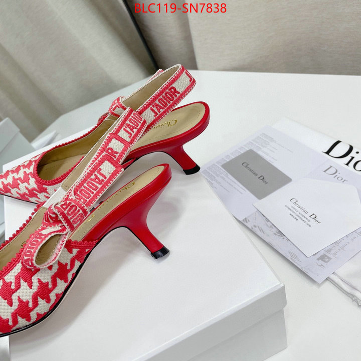 Women Shoes-Dior,can i buy replica , ID: SN7838,$: 119USD