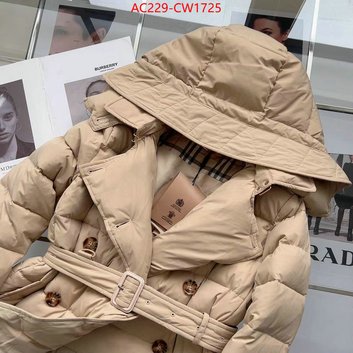 Down jacket Women-Burberry,how to start selling replica , ID: CW1725,$: 229USD