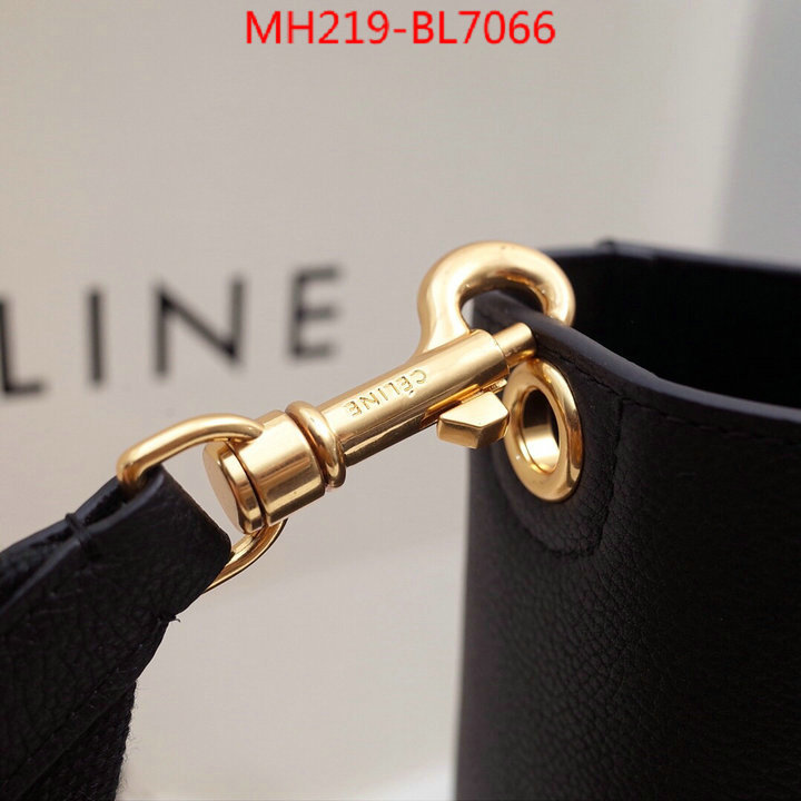 CELINE Bags(TOP)-Diagonal,highest quality replica ,ID: BL7066,$: 219USD